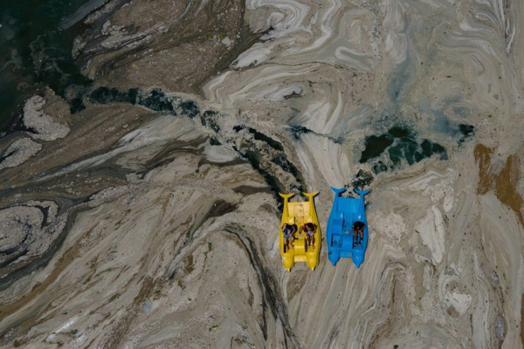 Harmful algae blooms can poison marine life or choke oxygen out of the water and may be exacerbated by warming, warns the UN's Intergovernmental Panel on Climate Change