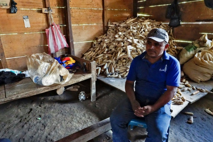 Lazaro Yat's cardamom crops were destroyed by flooding, and he now survives by growing corn on hills that remained above the water