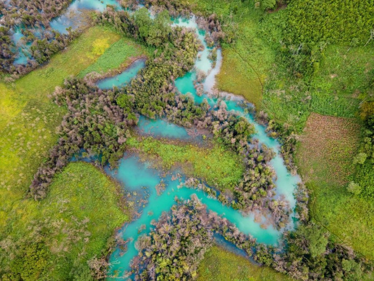 The river through Cerro Azul village, which overflowed and destroyed cardamom plantations