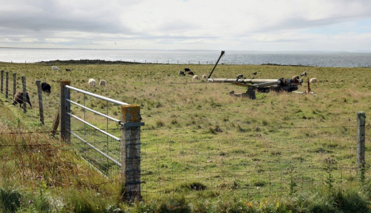 The ultra-remote island of North Ronaldsay may boast only around 60 people -- but it is home to what scientists say could be a breakthrough in cutting planet-warming methane emissions -- seaweed for its distinctive sheep