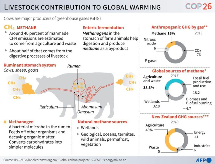 Graphic on methane produced by farm livestock.