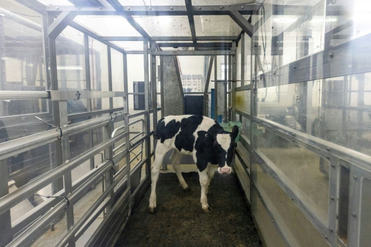 New Zealandâs government has committed to reducing livestock methane 10 percent by 2030 and 24-47 percent by 2050, compared with 2017 levels