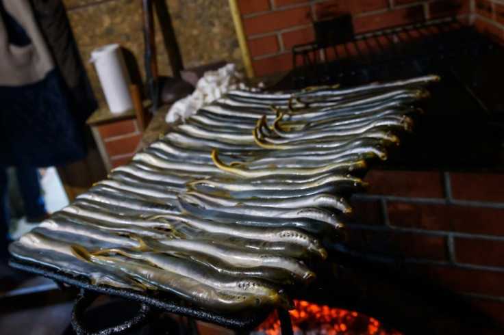 Lamprey prepared for roasting at Latvia's Salacgriva festival