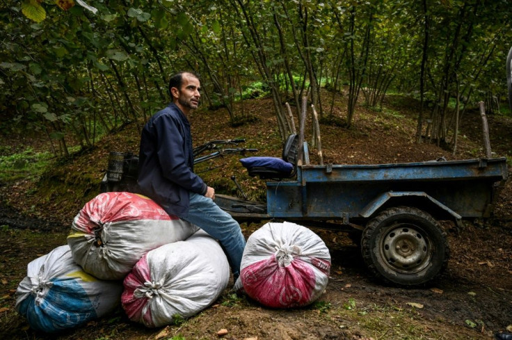 Turkish hazelnut producer Aydin Simsek says Nutella has "a monopoly, they have a free hand"