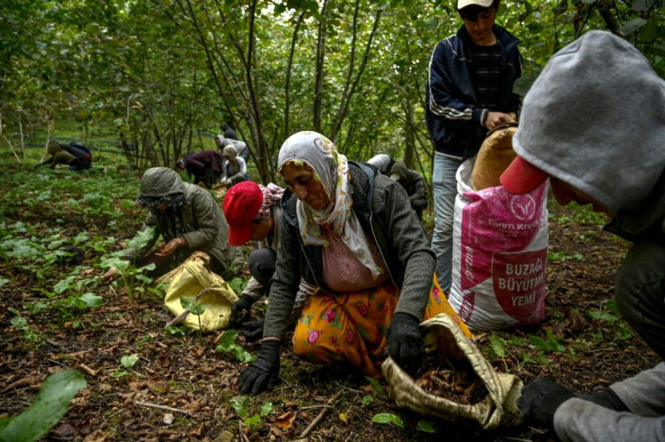 The Italian makers of Nutella have developed ill will from hazelnut farmers in Turkey, which accounts for 82 percent of global exports