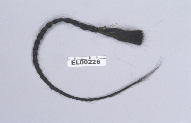 This handout picture courtesy of the Department of Anthropology, Smithsonian Institute shows hair from Lakota Sioux leader Sitting Bullâs scalp lock, from which DNA was extracted for analysis