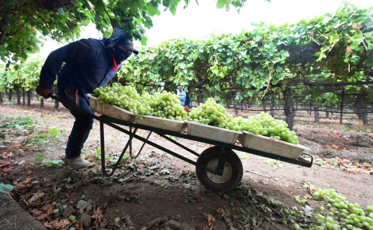 Farm workers increasingly need water, shade and rest as temperatures rise due to global warming, experts say