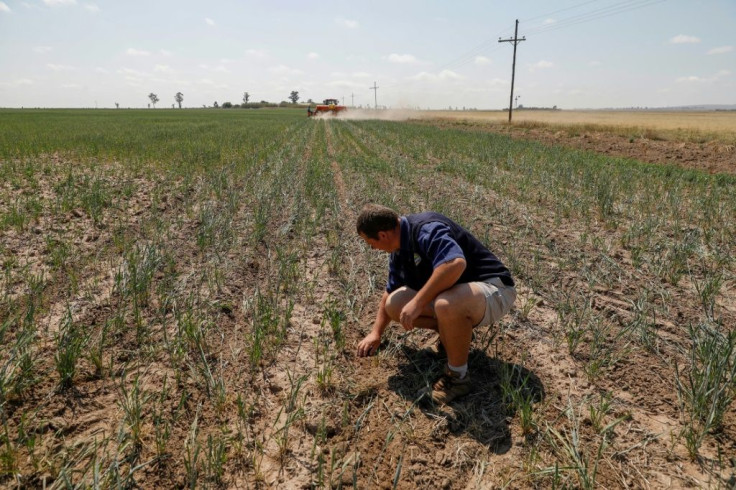 Danie Bester is a champion of 'regenerative farming' -- smarter use of crops and less tilling to help control weeds and retain soil moisture and nutrients