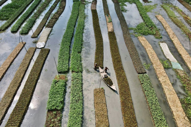 Rising sea levels and violent flooding are already putting tens of millions of lives at risk in Bangladesh, but they bring another problem that threatens the entire nation: Water-logged land and high salinity in streams and soil are killing crops