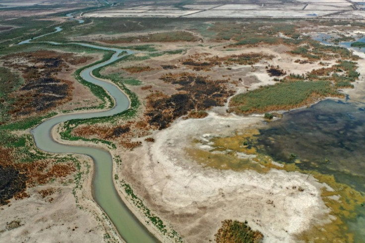 Iraq's marshes are also at risk from increased temperatures