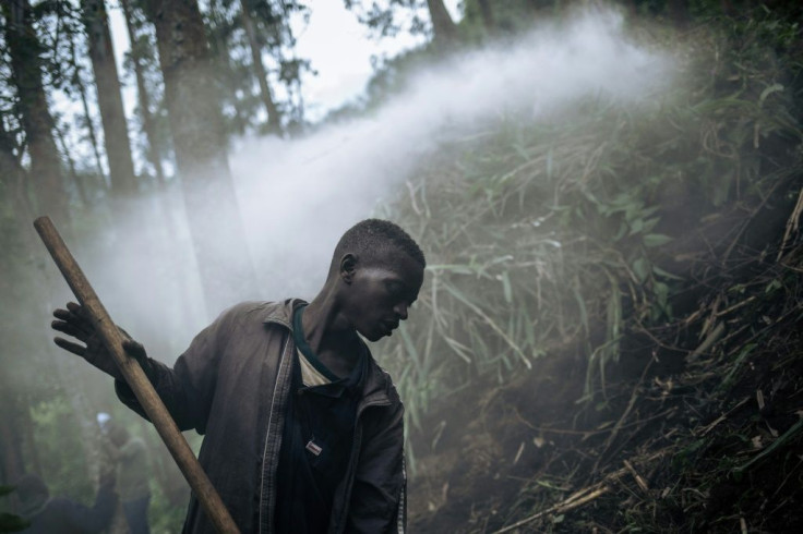 Former child soldier Joseph Bisole makes charcoal as part of a WWF (World Wildlife Fund) project
