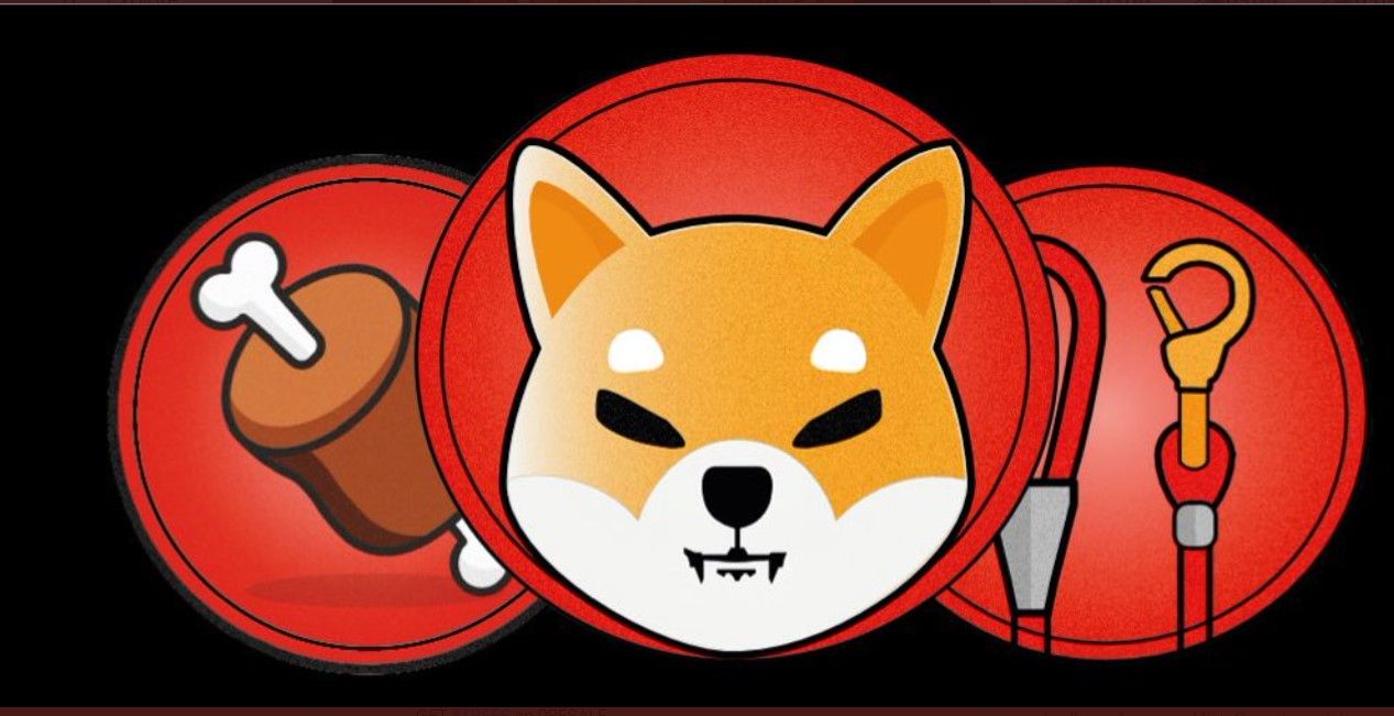 Shiba Inu Lead Developer Teases 'Great Things In The Works,' Promises To Complete 'Decentralized System'
