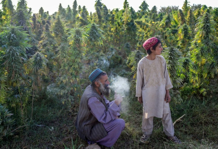 Under the previous US-backed government, overthrown by the Taliban in August, some hashish farmers paid local officials a levy of 3,000 Pakistani rupees ($17) a kilo