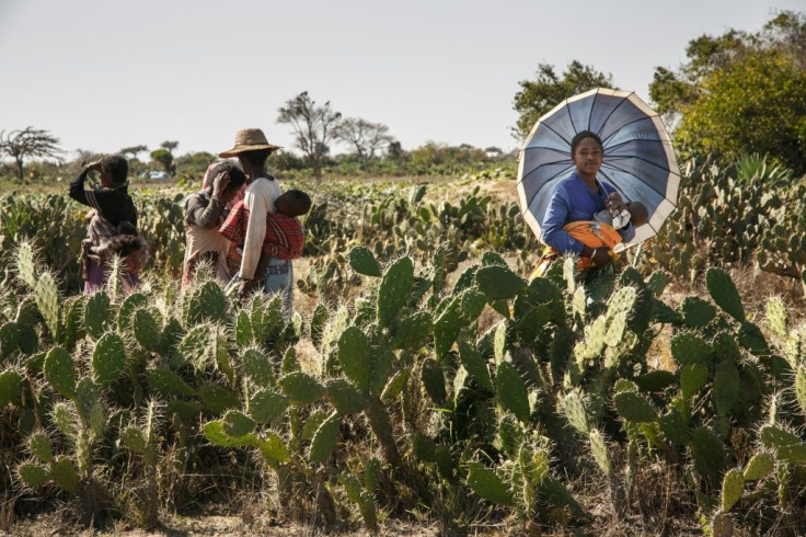 Severe drought in Madagascar is causing what some have called the first climate-induced famine, Sharma said