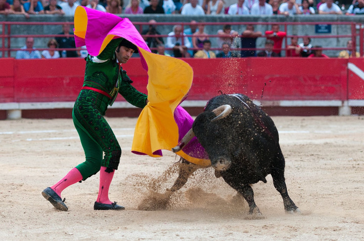 bullfight-1957719_1920