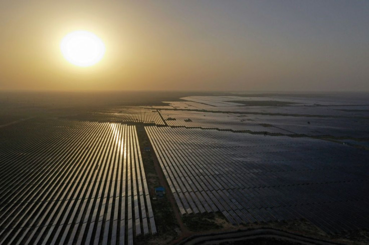 As camels munch on the fringes of Thar desert, an oasis of blue solar panels stretches further than the eye can see at Bhadla Park -- a cornerstone of India's bid to become a clean energy powerhouse