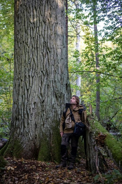 Environmental journalist Adam Wajrak moved to a village in Bialowieza forest 25 years ago