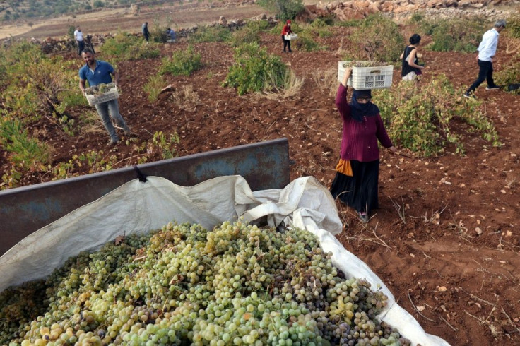 The gradual departure of Assyrians from Turkey's southeastern Mardin region has dealt a bruising blow to its viticulture traditions