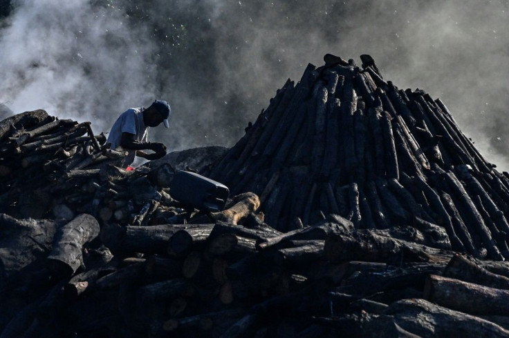 About 200 families in El Espave, on banks of the Bahia de Chame, a large bay, work in the production of mangrove charcoal, which they sell to pizzerias and restaurants