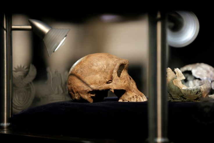 The latest fossils add to a skull and other remains of a species named Homo naledi -- hominids that lived around 250,000 years ago