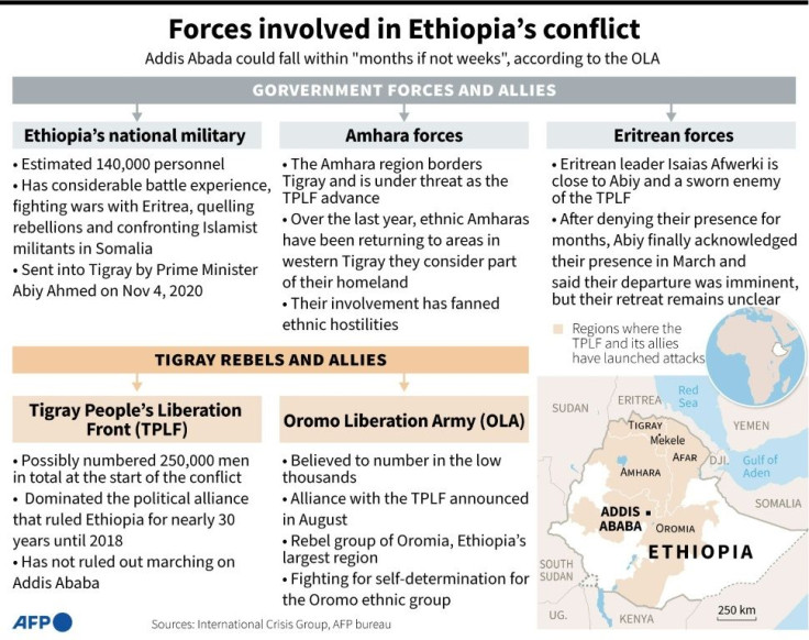 The main forces in the Ethiopian conflict