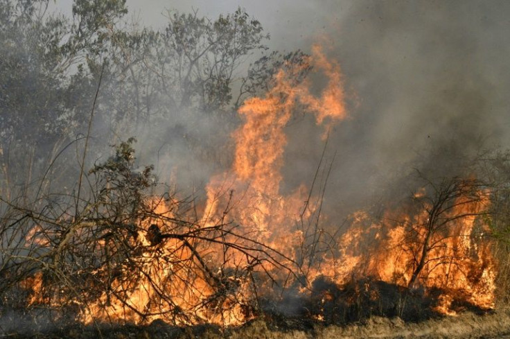 Authorities said wildfires, mostly originating from land-clearing activities, had scorched almost 600,000 hectares of land in eastern Bolivia between January and August 2021