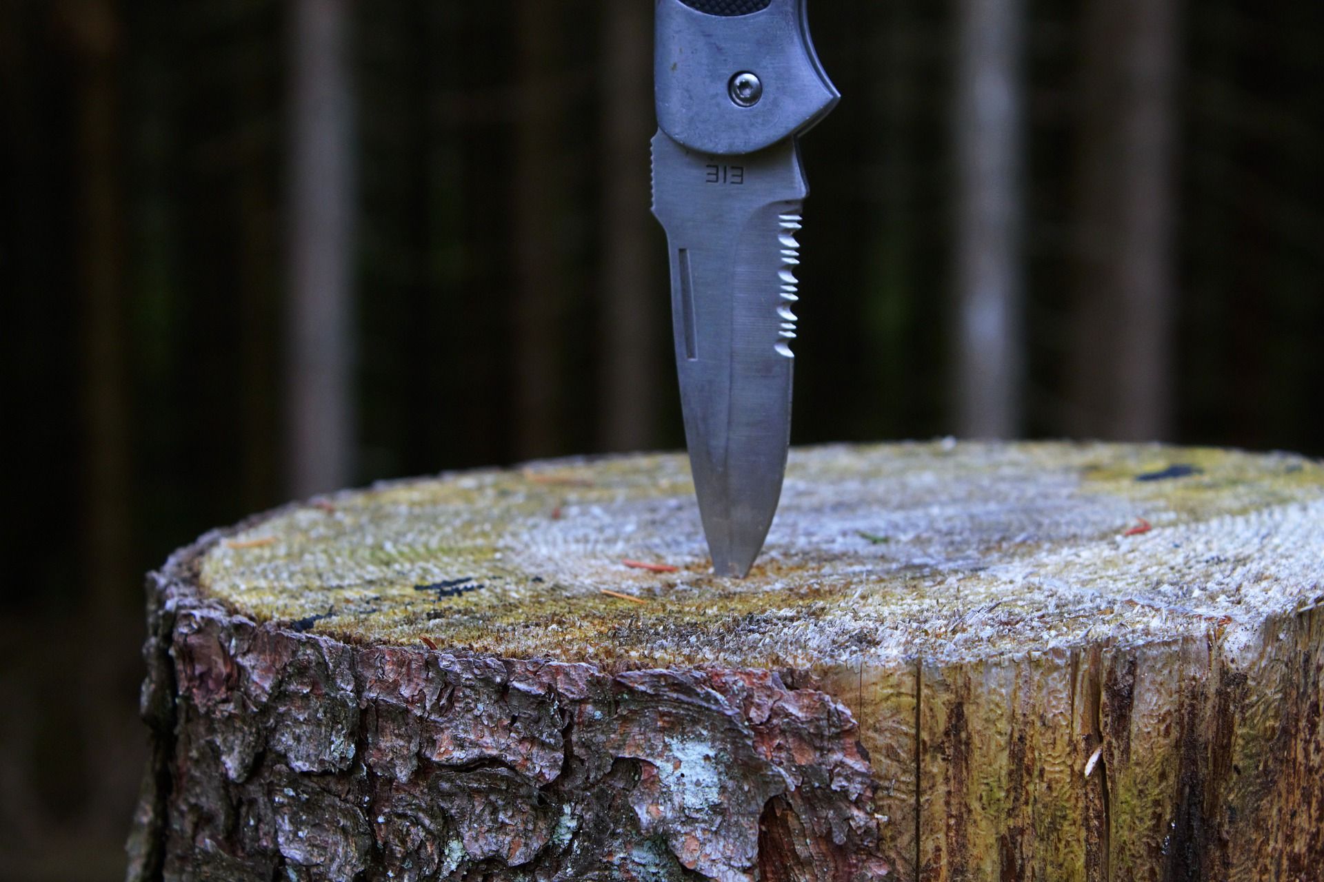 Woods blades. Пенёк с оружием. Инструменты в лесу. Кофе в лесу нож. Orange Tree Stump nature.