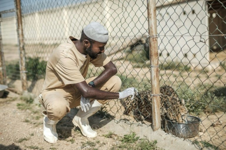 Somaliland is expanding intelligence sharing with neighbouring countries and Yemen to better tackle the illegal trade