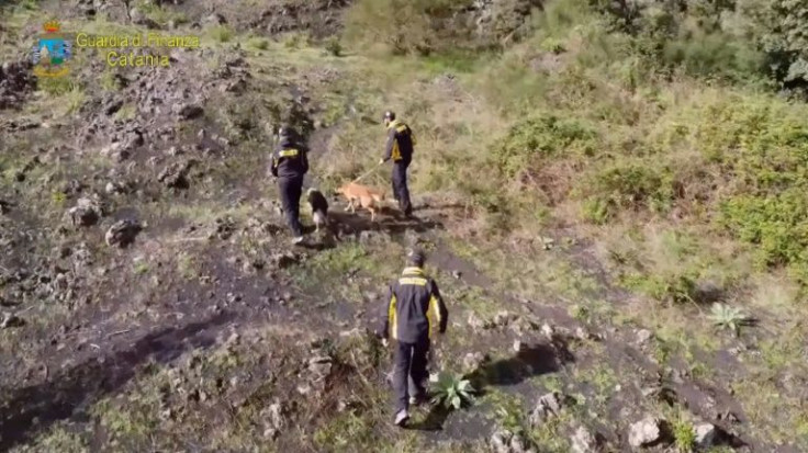 Police mountain rescuers comb the slopes with a dog supposed to sniff out a fictitious missing person for training purposes -- but which found real remains