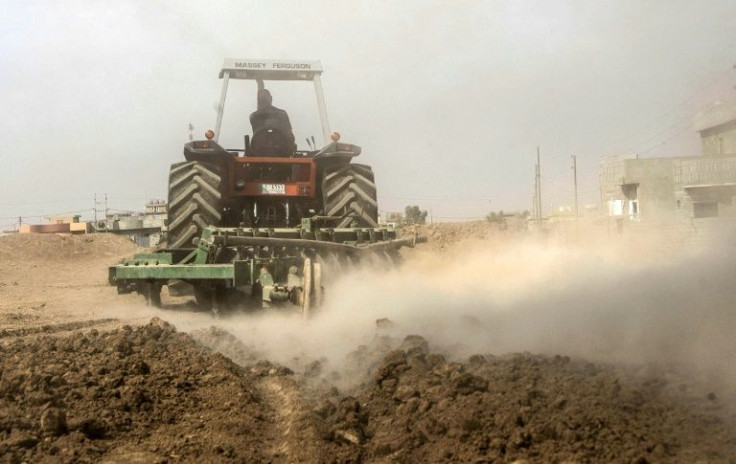 Aid groups and the UN say urgent action is needed to avert social and economic disaster in war-scarred Iraq which is struggling with severe drought