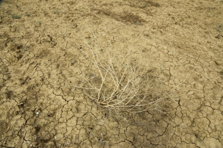 A picture taken on October 20, 2021, shows a parched land in the east-central Tunisian area of Kairouan due to drought