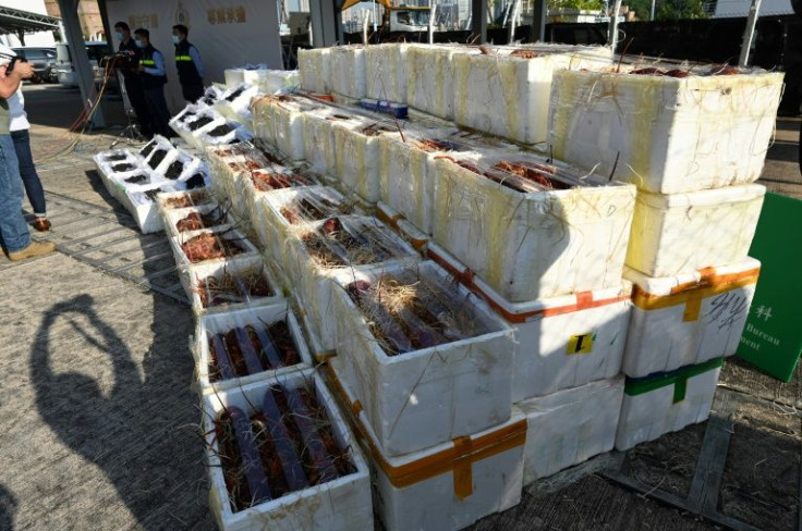 The city's customs chief has dubbed smuggled Australian lobsters 'a national security threat'