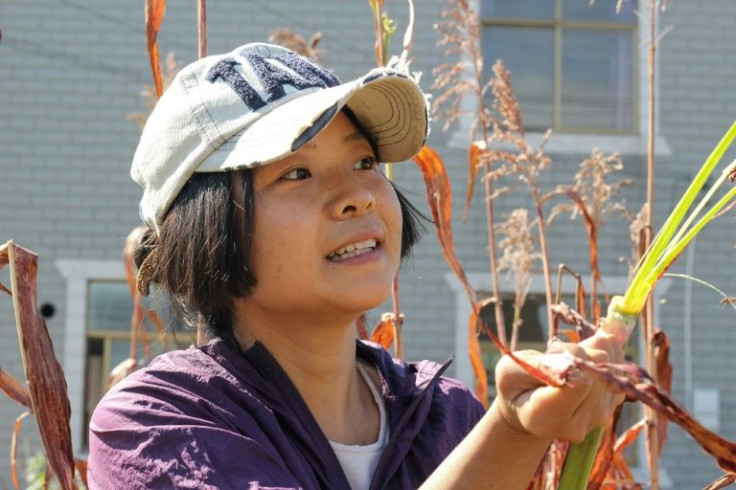 Hu Siqin is part of a nascent back-to-the-farm movement in which young Chinese professionals are quitting the rat race for the simple joys of an organic, agrarian lifestyle
