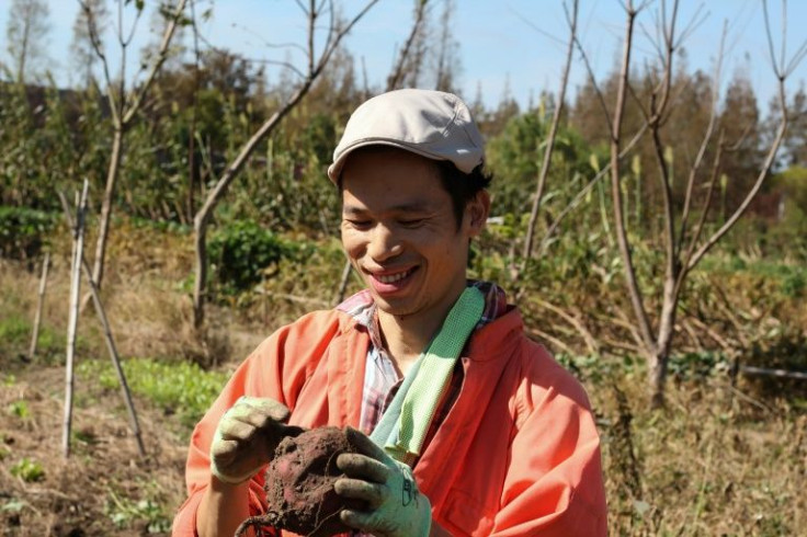 Former advertising executive Liang Funa became a farmer after feeling burnt out by long work hours and an unhealthy lifestyle