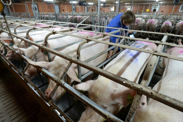 Critics say the barnyard whiffs from the farms of the past were nothing like the overpowering stench from today's supersized operations