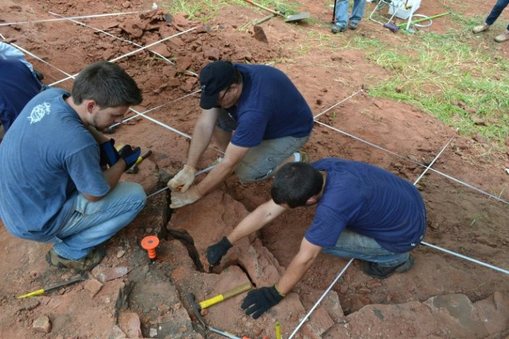 This handout picture released by the National Museum of Rio de Janeiro on January 25, 2021, shows archaeologists recovering fossils of a previously unknown species of dinosaur discovered in southern Brazil