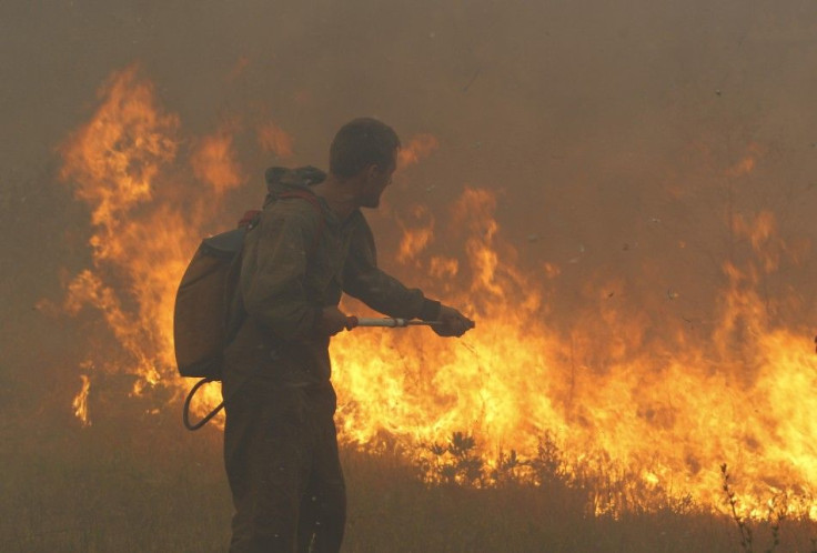 wildfire