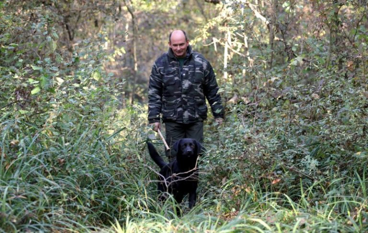 'It's more difficult to find a truffle than to sell it,' laments Darko Muzica, who oversees the Istra association of truffle hunters