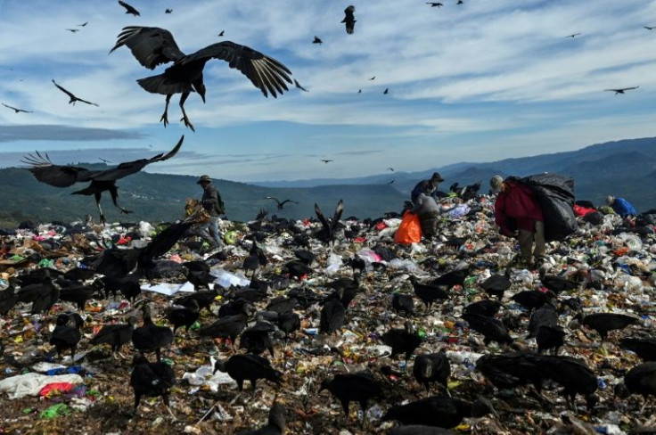 Vultures compete with humans for scraps of food at the municipal dump known as the 'crematorium' on the outskirts of the Honduras capital Tegucigalpa