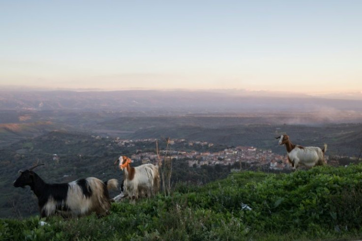 Some 47 percent of young people are without jobs in Vibo province, the fifth-highest rate in Italy