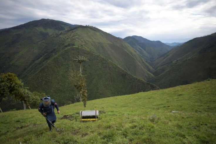 A Colombian soldier works to remove mines laid by guerrillas in Marquetalia, the birthplace of the Revolutionary Armed Forces of Colombia (FARC)