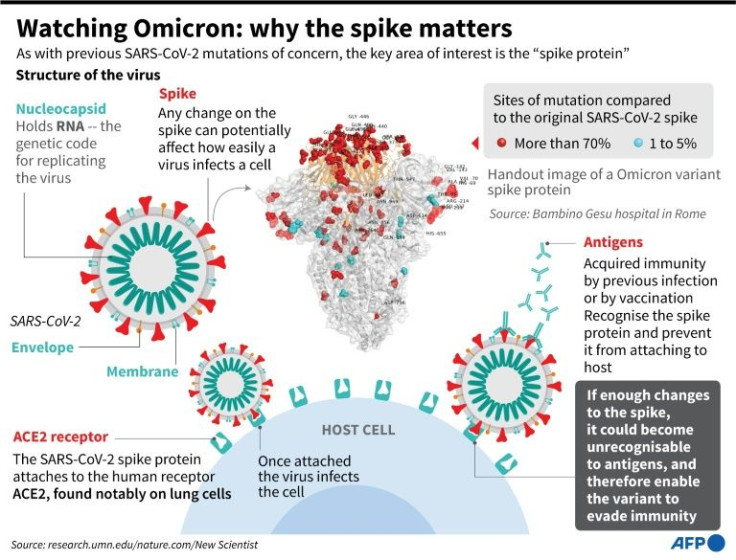 Graphic showing how SARS-CoV-2 uses the spike protein to enter cells.