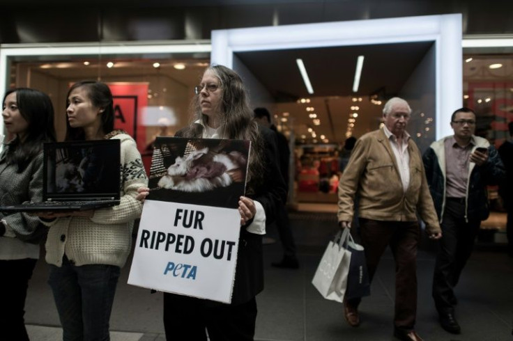 Animal rights activists from Peta have long called on fashion firms to stop using angora wool