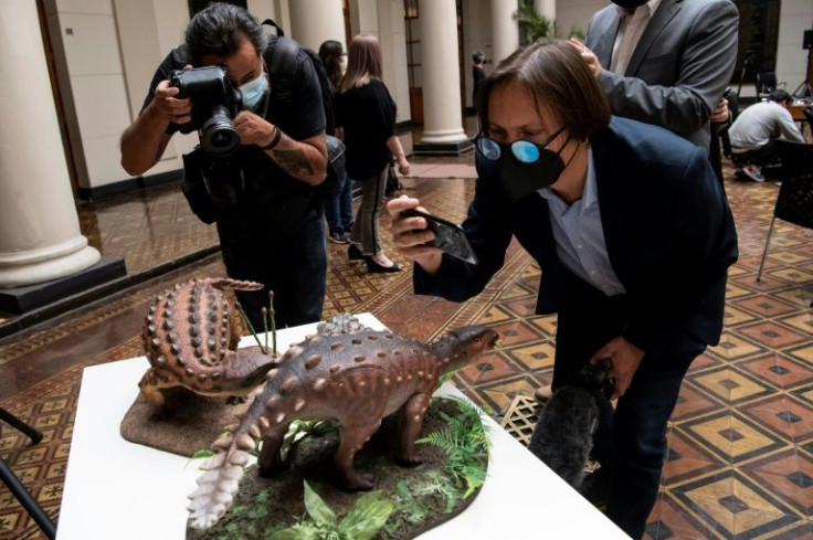 Miniature models of the Stegouros elengassen, a species of dinosaur discovred in Patagonia in 2018, is seen on display December 1, 2021 in Santiago