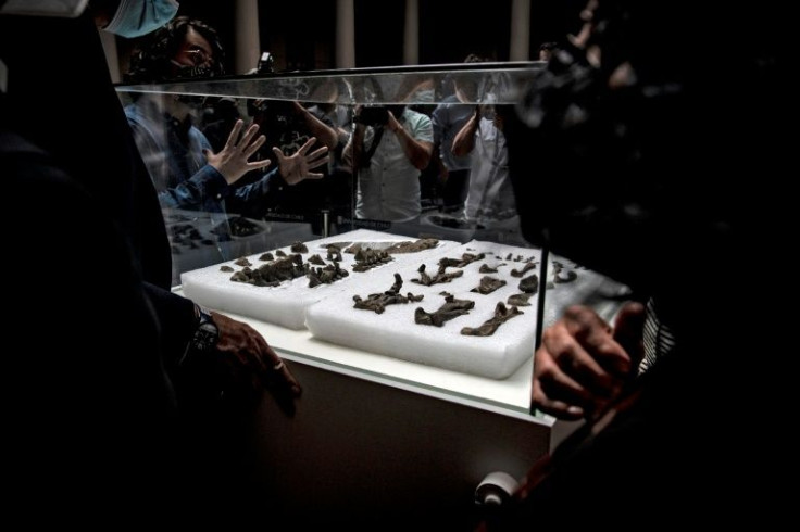 The remains of a Stegouros elengassen, a new species of dinosaur discovered in Patagonia, is seen on display in Santiago December 1, 20121