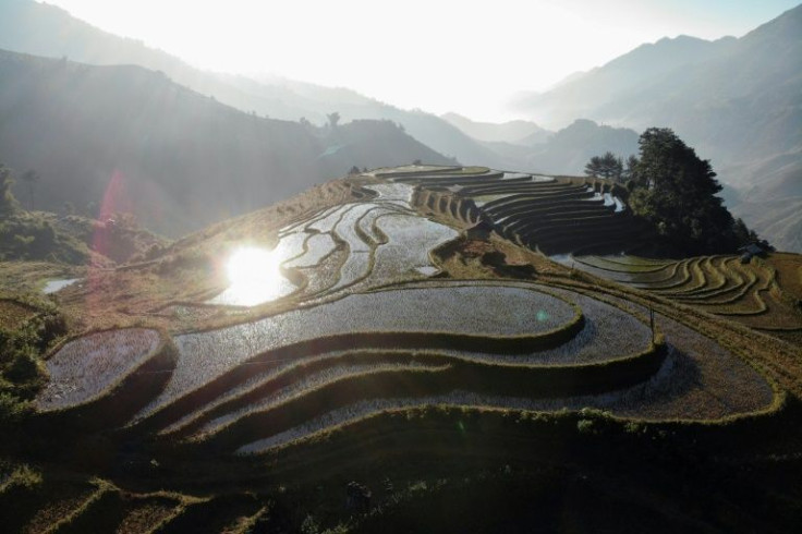 The terraces mostly belong to the Hmong, aÂ minority group who make up most of the area's population