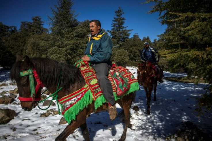 Moroccan tour operators had been counting on winter bookings from Europe to provide some relief from a second disastrous year but the Omicron variant of the coronavirus has triggered an avalanche of cancellations