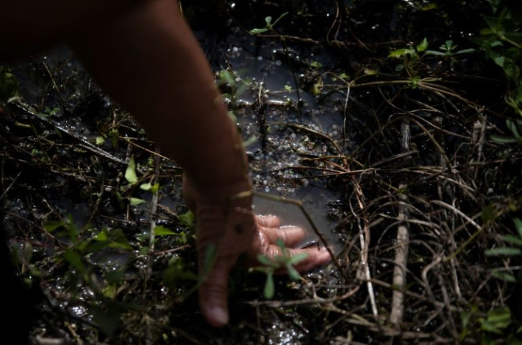 Wilson shows plastic pellets called nurdles that pollute the coast