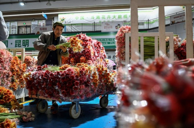 Demand for cut flowers has soared in China as standards of living have risen, with the southern province of Yunnan at the epicentre of that boom thanks to its all-year mild climate
