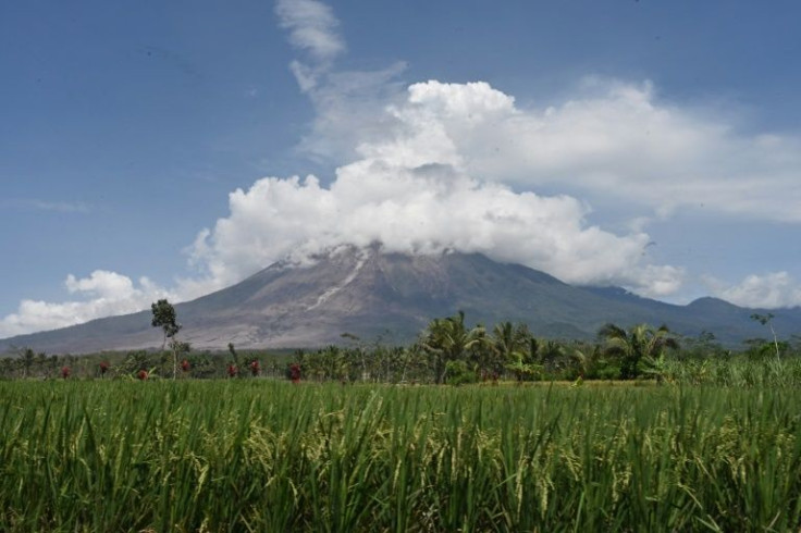 Mount Semeru is the tallest mountain on Indonesia's Java island